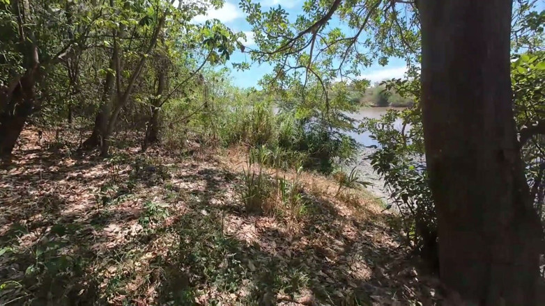 Jhodez1: Surprise Nature Walk with Ebony Hiking Down to River She...