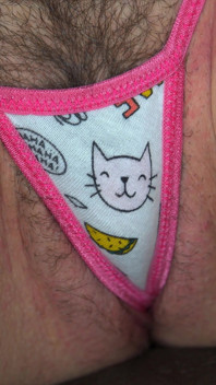 Arielle Lane - Taco Kitty até a saia 2026