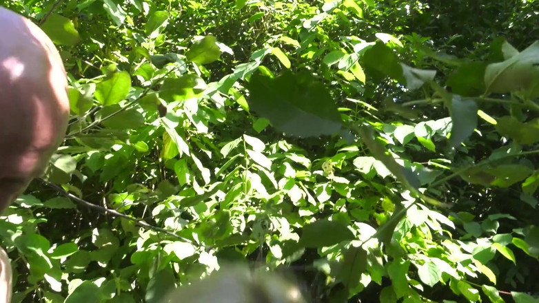 HPG Production: 惊人的金发熟女吮吸法国大鸡巴 5200