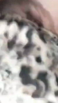 Back of My Car BBC Pounding Me Doggy Moaning Orgasms