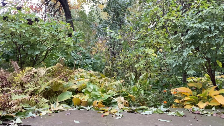 OurFetishLife: BBW trưởng thành trong công viên