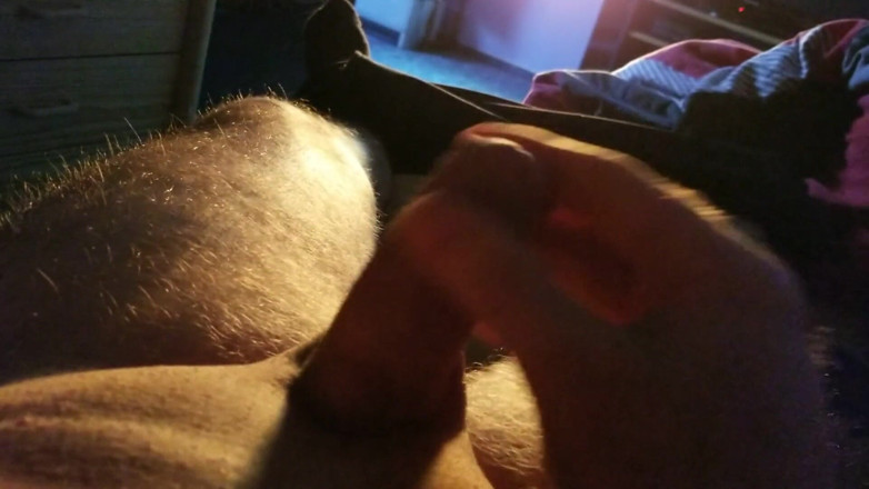 Paddy studio: Hraní s malým ptákem večer ...