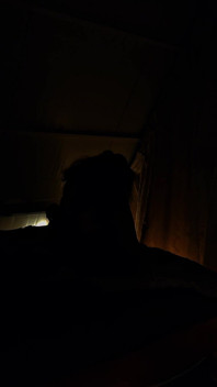 Coppie in Cerca Di Un Amico Genuino Si Fanno Succhiare Le Tette Ed I Capezzoli
