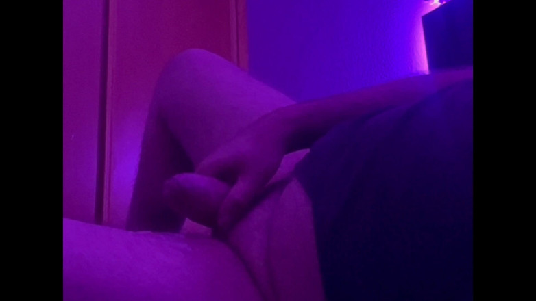 The newhere: 床上的熊 卡明