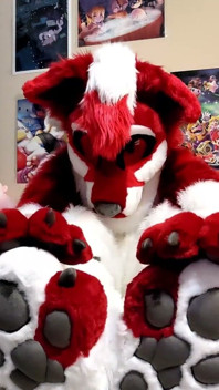 Jerking off and Showing Footpaws in Full-body Fursuit