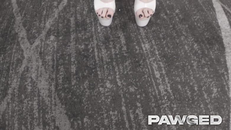 PAWGED: Pawg Hadley Haze cố gắng xử lý Bwc