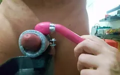 Handsfree Milking
