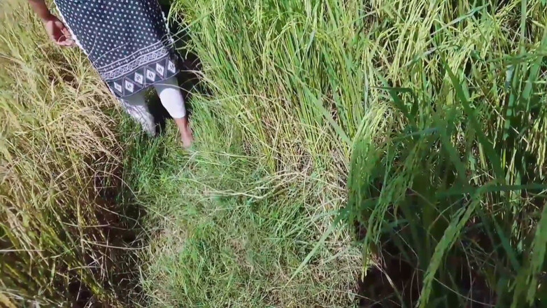 Abida sexy: Suegra deja que su yerno mee en sus hermosas piernas