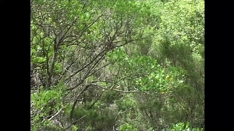 XTime Vod: あなたの巨根のIPを私の引き締まったお尻に押し付けて、私のオマンコをファックしてください、男の子!!