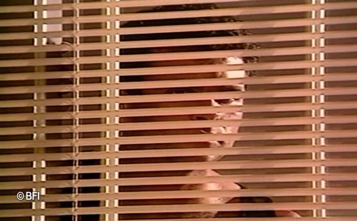 Horny Teenies: Nasty Girls Dvd