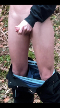 In the Forest