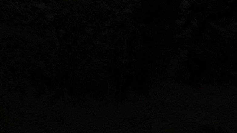 DaniClark: お金を使っても結局セックスしてしまう