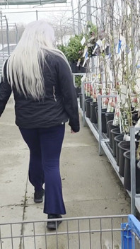 Plant Shopping