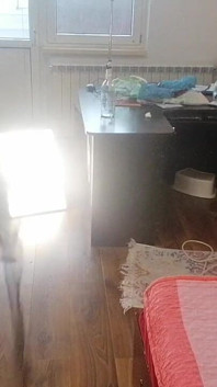 素人女性が服を試着したり、裁断したりして楽しんでいる