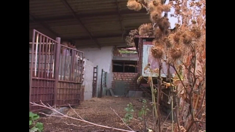 MCG EMPIRE TV - our best full movie: The Damsel Fucked in the Countryside