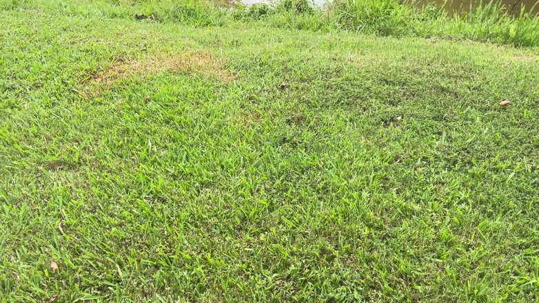 TSRyley: Lakeside Blowjob