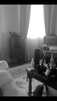 Cozy Home for Someone Is Woman in Furry Slippers Offering Medium Anal Plug as Aperetif for Lunch)