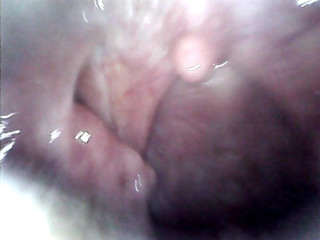 LizAngel: Put it in my mouth up to the balls