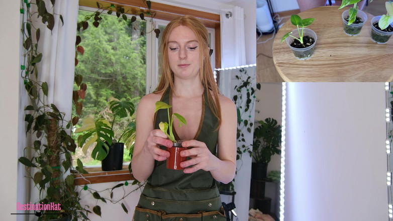 Destination Kat: Zahradničení s Kat- repotting Monsteras Sfw