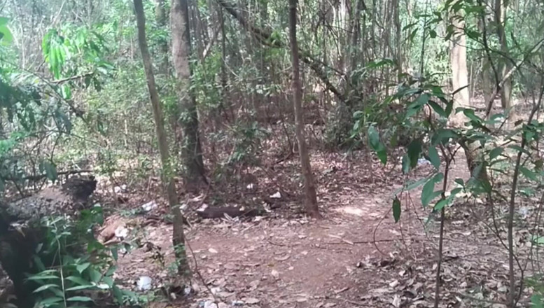 TheBlacKHunterr: Passei Na Lagoa Pra Dar Uma Mijada E Bater Uma