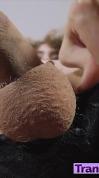 Heiße zierliche lily de Mure