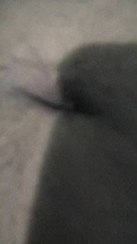 Vid_20250630_043055.mp4