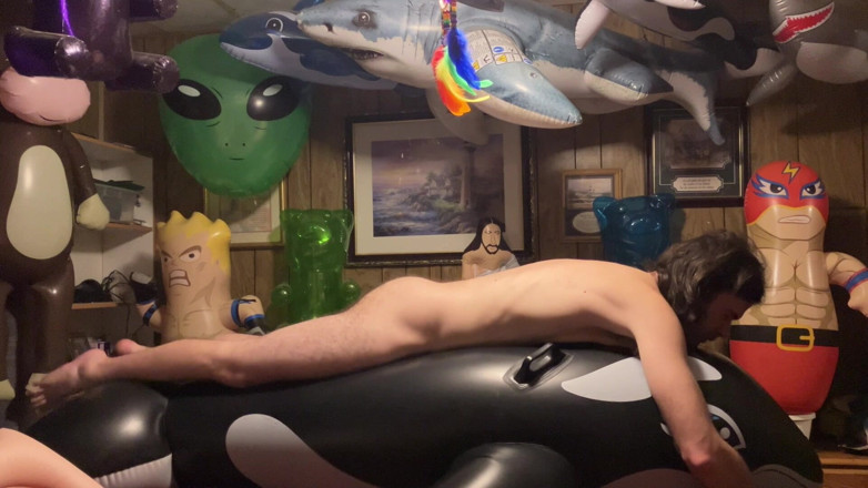 BMBFT non pop: Btf Orca