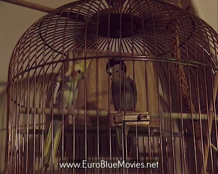 Euro Blue Movies: Josefine - the Fucking New Year