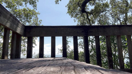 Justin Birmingham: Slinging Precum v lese