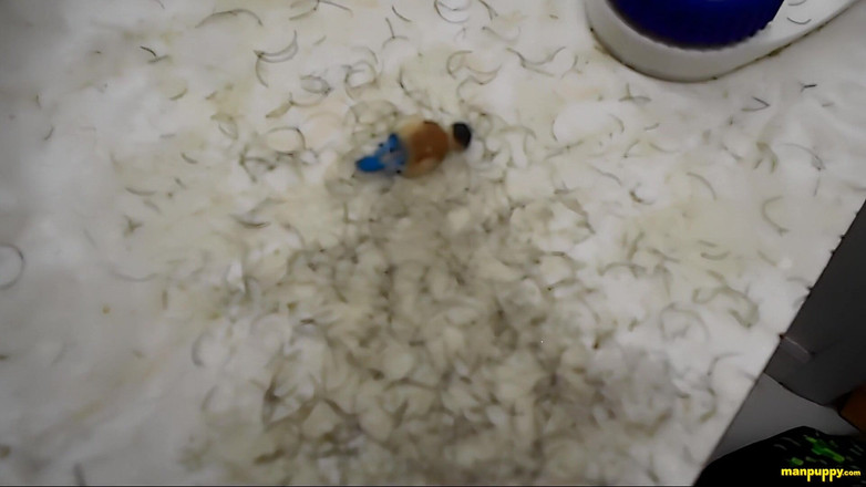 Man Puppy: Je leren scheren - papa reus 8