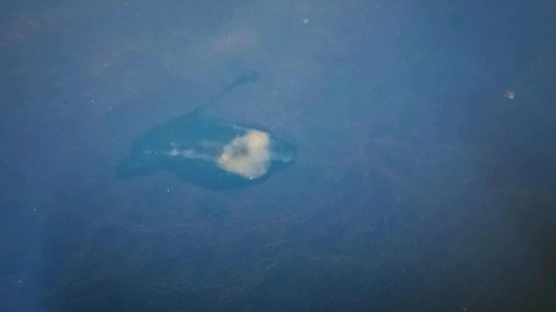 Mark Hannes: Bonggol Berisiko Cepat Melancap Di Lantai Gudang