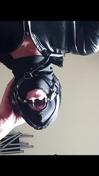 Chairtied, Hooded, Ballgagged and Ring Gagged I Have to Suck Until He Cums