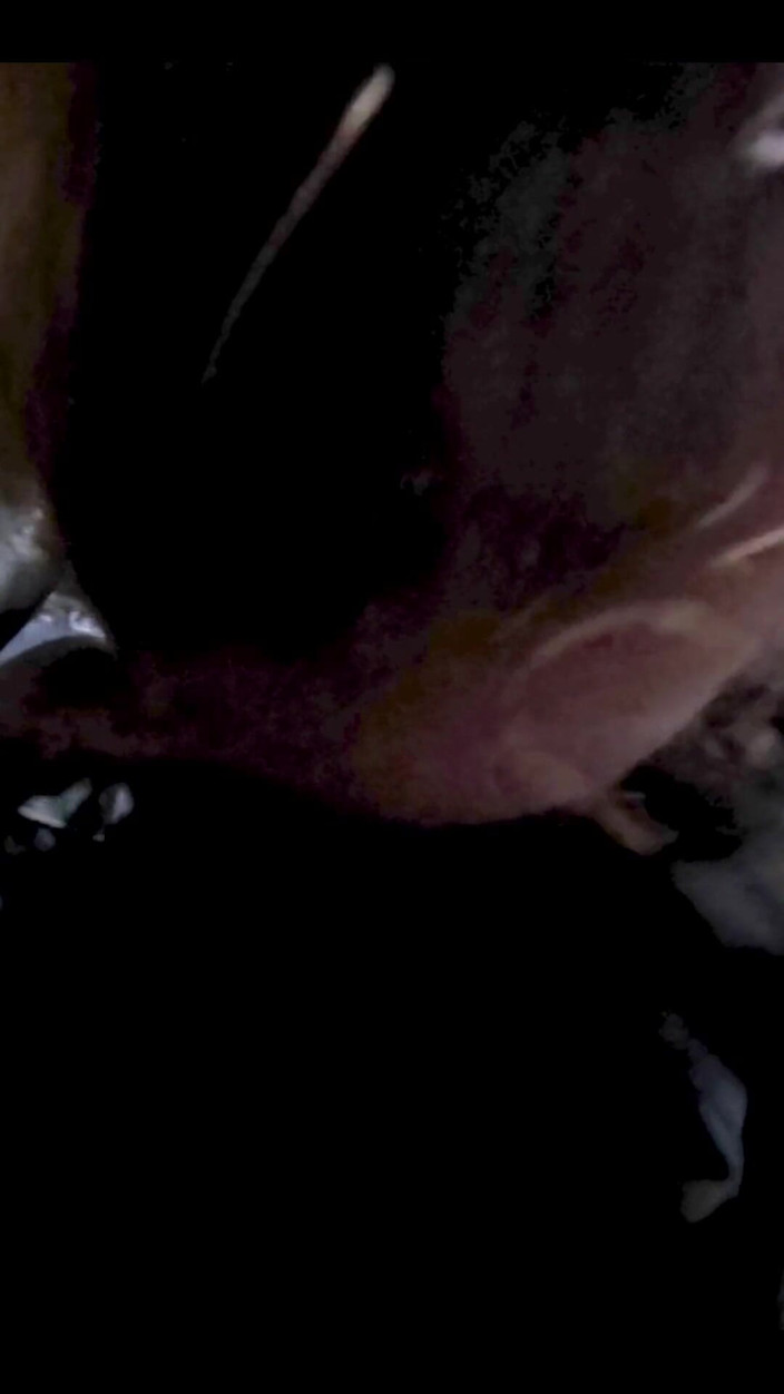 PNW Porn: Pijpbeurt orale creampie in de auto