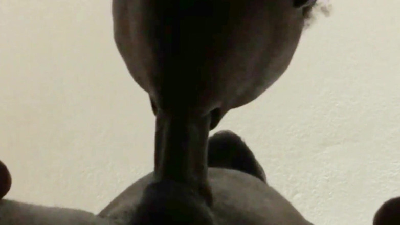 Wildwood21519: Gorge profonde en gros plan