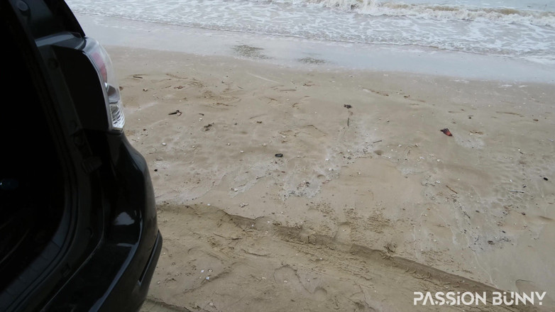 PassionBunny: Sesso Pubblico Veloce E Rischioso Nel Bagagliaio Dell'auto Sulla Spiaggia