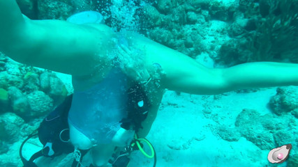 Mistress Pink Pearl: 보네르에서 혼자