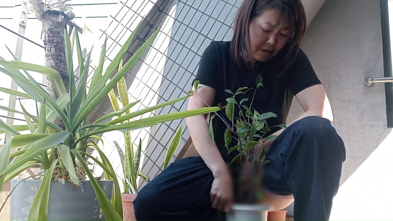 Mayumi Kanzaki: Uriner Dans Une Plante En Pot