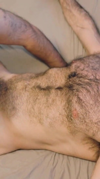 Addomesticare l'orso