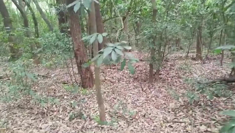 TheBlacKHunterr: 我在泻湖停下来拍了一杯