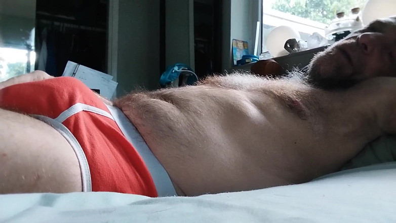 Hairyartist: Ich bleibe bei trainer will
