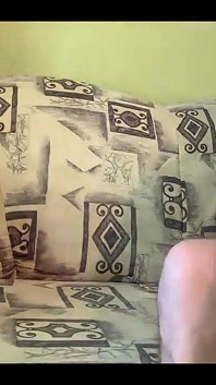我在查图贝特上直播