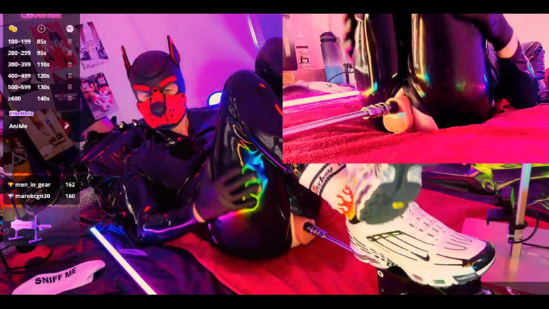 Roman Heart: Doggy Rubber Show