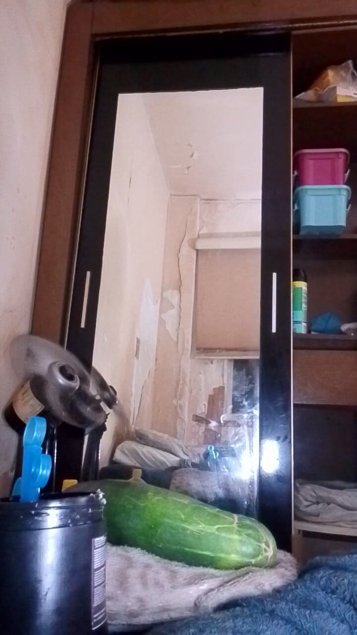 Lovvetoyy: 장난감