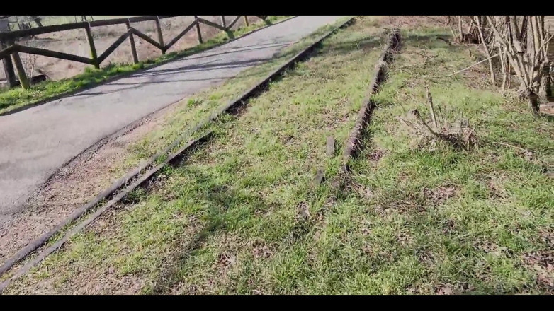 Lollolara91: Fanteziile Larei Ep.2 - în pădure în căutarea pulelor care să sugă