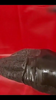 My New Latex Gloves Dreamofevolutionvip