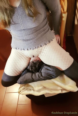 goddess82: I Love to See You Suffer Under My Pussy!