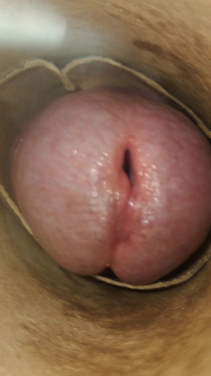 Esteban Williams: Pov: Cummin ' bên trong của bạn