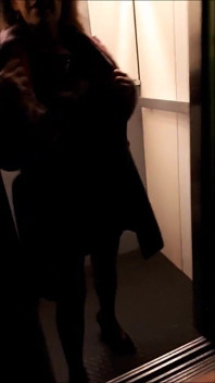 ノエミコンピレーションエスカリエ