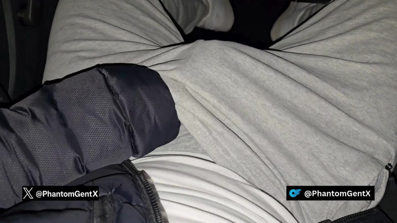 PhantomGentX: Ragazzo tedesco con presborra nel grigio si masturba in macchina...