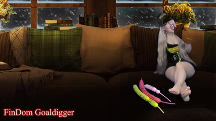 FinDom Goaldigger: Cyber CEI